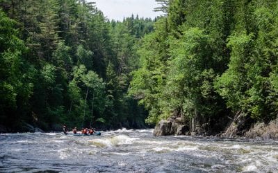 The Best Thing You Do All Summer