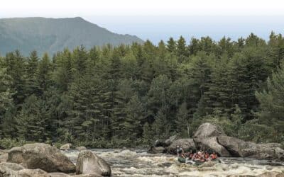 History of Maine Log Drives