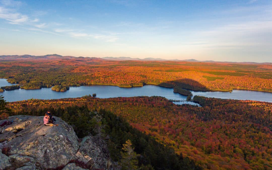 Mosquito Mountain