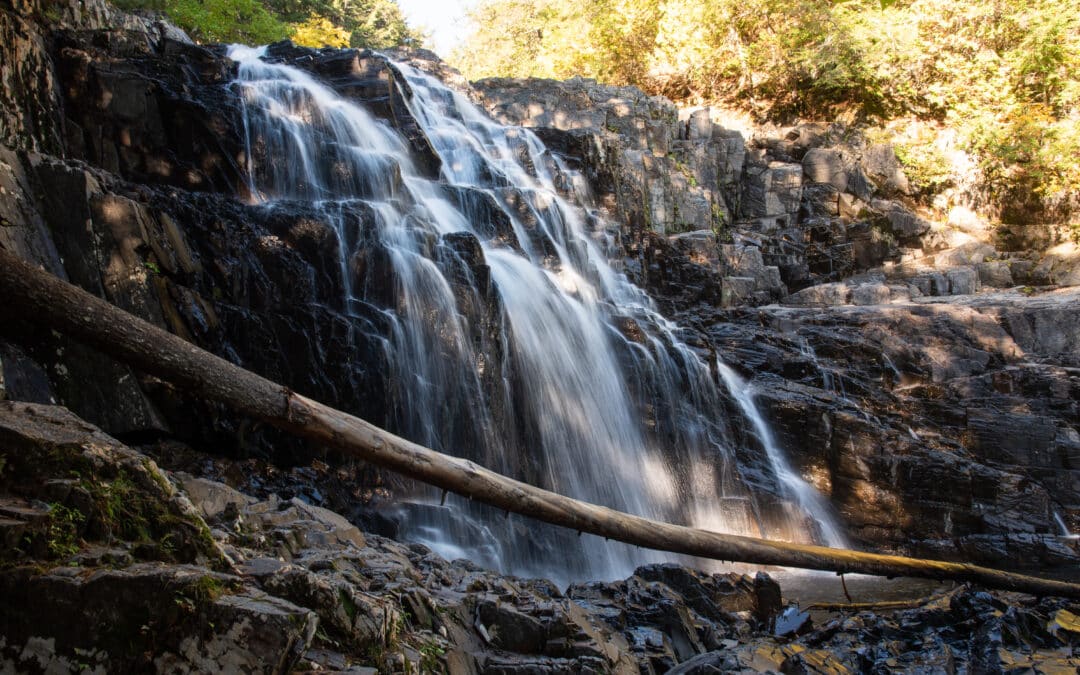 How To Get To Houston Brook Falls From Three Rivers Whitewater